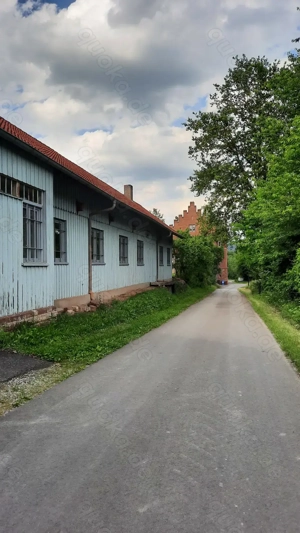 Vogelbörse Gamburg Sa. 6. Dezember 2025 Bild 10