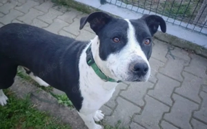 Akota wartet auf dich