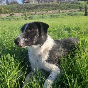 Sehr freundlicher Theo