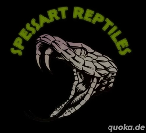 Nehme Reptilien Amphibien auf 