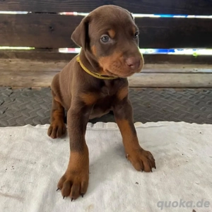 Erreichen Sie uns jetzt !! !! !! !! 