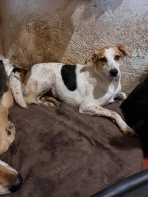  Rema ist jung, ruhig, freundlich.  Bild 2