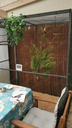 Aluminium Voliere in grau und der Draht in schwarz beschichtet !! 