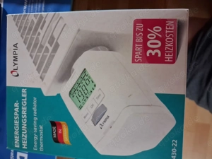 Heizungsregler Elektrisch