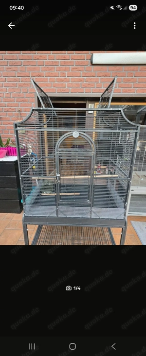 Verkaufe Montana Cage Madeira III 