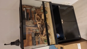 ExoTerra Terrarium-Komplettset 90   45   60 cm Bild 2