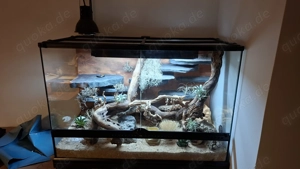 ExoTerra Terrarium-Komplettset 90   45   60 cm