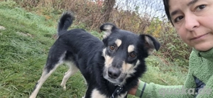 Leo sucht wieder seine Menschen 