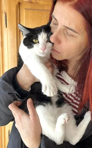 tolle Katze Alma sucht ein liebevolles Zuhause Bild 9