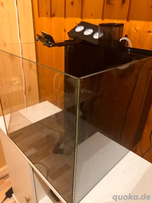 Meerwasseraquarium mit Rückwand-Sumpf   Komplettset (75 Liter)