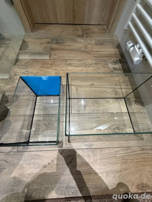 2x kleine gebrauchte Aquarien , auch geg. Kongosalmler . 