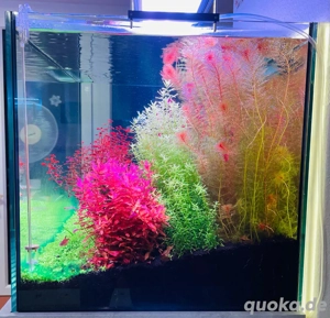 Chihiros LED Serie WRGB II Pro Bild 4