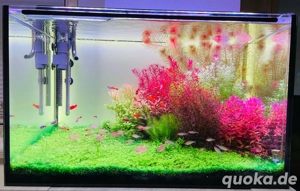 Chihiros LED Serie WRGB II Pro