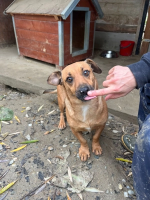 Clara - Eine zweite Chance für das Herz