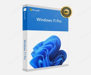 Windows 11 Pro Key Produktschlüssel 32 64 Bit | Instant Versand