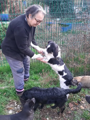 Mila   Fröhliche Junghündin mit großem Herz Bild 8