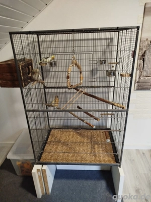 Vogelkäfig 