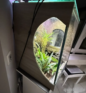 Traumhaftes Regenwaldterrarium   Komplett eingerichtet & einsatzbereit für Dendrobaten Bild 3