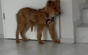 Neelo wartet schon auf dich Bild 2