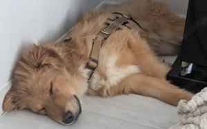 Neelo wartet schon auf dich Bild 3