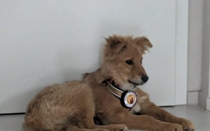 Neelo wartet schon auf dich