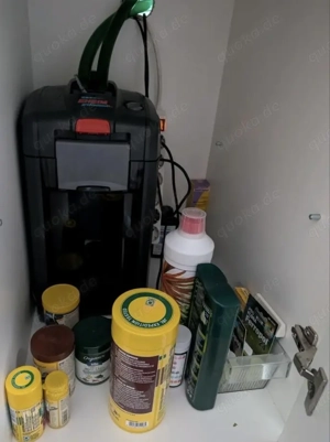 500 Liter Aquarium mit Fischen Bild 7