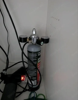 500 Liter Aquarium mit Fischen Bild 6