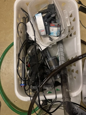 500 Liter Aquarium mit Fischen Bild 8