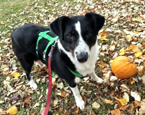 Aponi bereit für ihr neues Leben