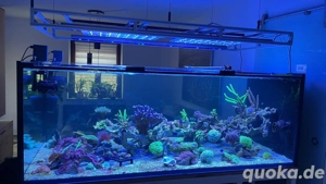 Wir retten Beckenplatzer oder Beckenauflösungen