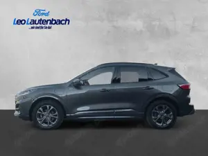 Ford Kuga Plug-In Hybrid ST-Line X Bild 2