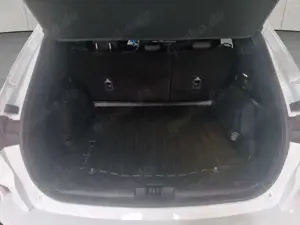 Ford Kuga 2.5 Duratec PHEV ST-LINE X *20'' FELGEN* Bild 5