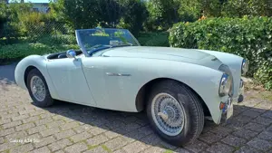 Austin-Healey 100 Bild 2
