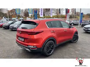 Kia Sportage 1.6 T-GDI AWD GTL+Tech+Pano+AHK+SHZ Bild 3