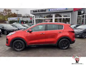 Kia Sportage 1.6 T-GDI AWD GTL+Tech+Pano+AHK+SHZ Bild 5