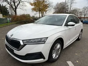 Skoda Octavia Ambition
