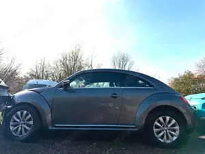 Volkswagen Beetle Bild 2