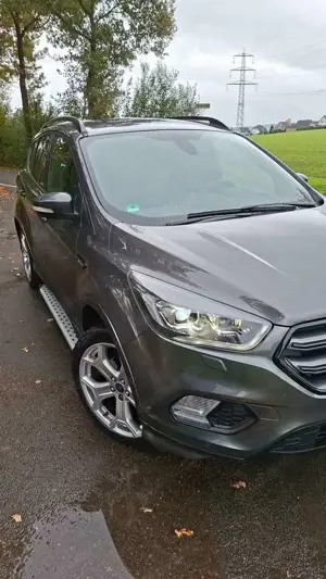 Ford Kuga Kuga 1.5 EcoBoost 2x4 ST-Line