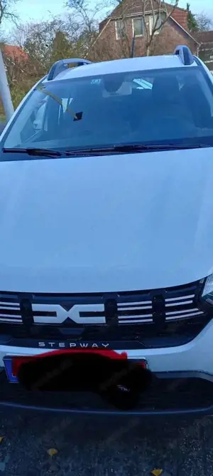 Dacia Sandero Stepway TCe 90 CVT Expression Bild 1