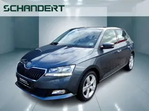 Skoda Fabia 1.0 MPI Cool Klima Sitzhzg PDC DAB