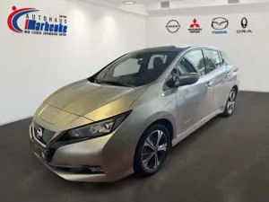 Nissan Leaf 40 kWh Winter, Allwetter
