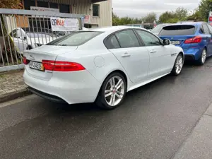 Jaguar XE R-Sport*Motor Klackert* Bild 2