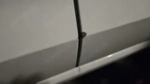 SEAT Leon 1.2 TSI Ecomotive Style Bild 5