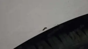 SEAT Leon 1.2 TSI Ecomotive Style Bild 4