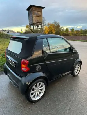 smart forTwo Cabrio 0.7 Passion 61cv Bild 2