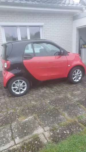 smart forTwo Bild 4