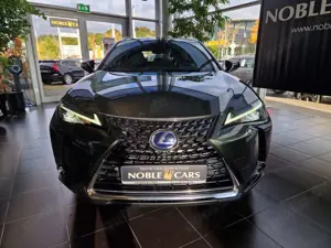Lexus Others 250 h Style LED ALU Bild 2