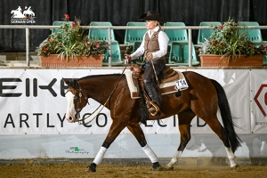 Westernreitunterricht Trainerin A - Online Training & Kurse