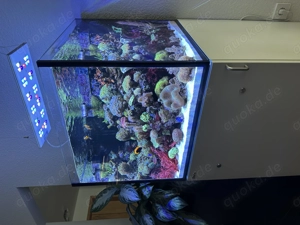 Meerwasser Aquarium Red Sea Reefer 200 G2