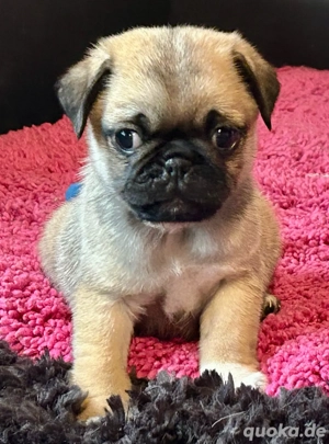 zwei zuckersüße Retromops Jungs